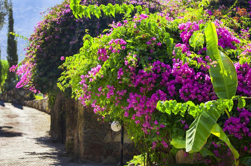 Paradise Garden Hotel Oludeniz Exterior foto