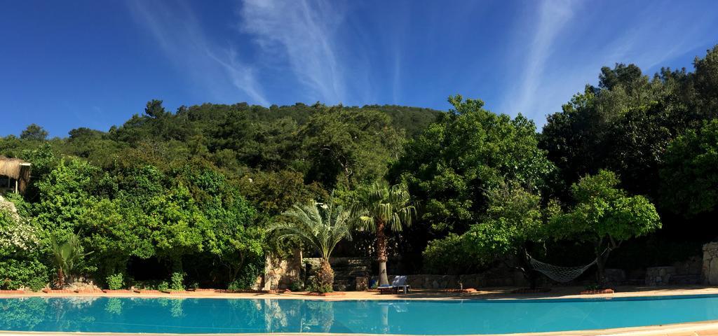 Paradise Garden Hotel Oludeniz Exterior foto