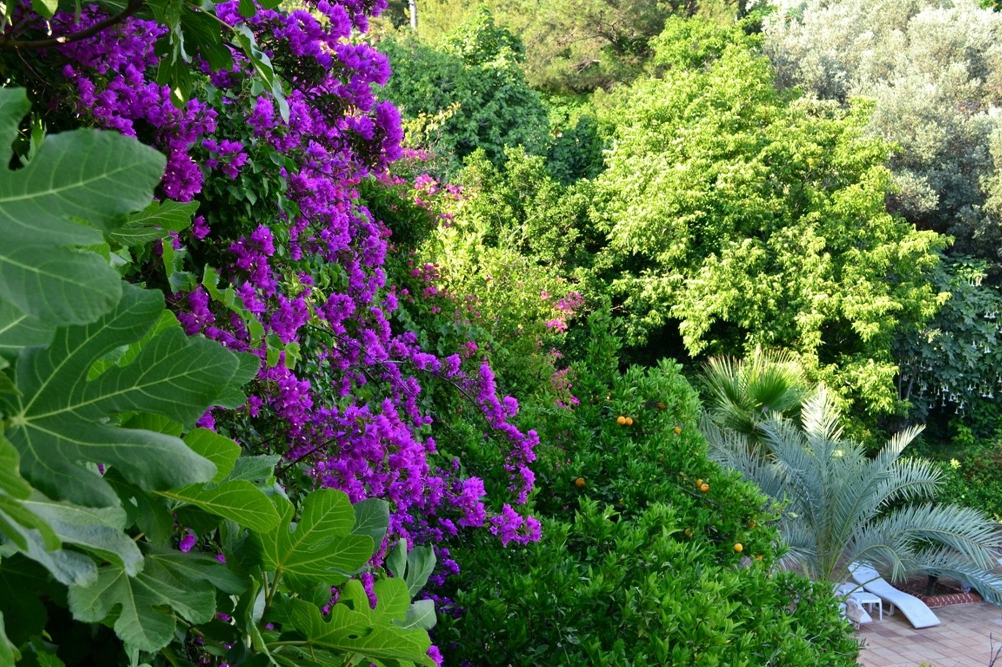 Paradise Garden Hotel Oludeniz Exterior foto